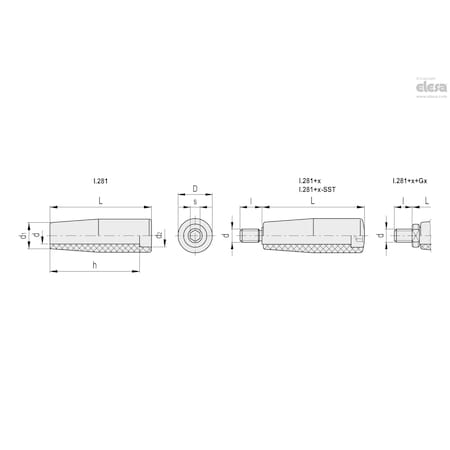 Elesa AISI 304 stainless steel pin, I.281/90+x-M10-SST I.281+x-SST